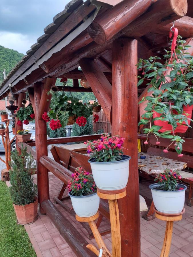 Casa De Oaspeti Cristian Praid Luaran gambar