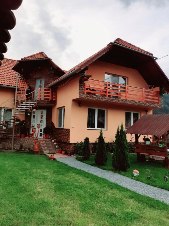 Casa De Oaspeti Cristian Praid Bilik gambar