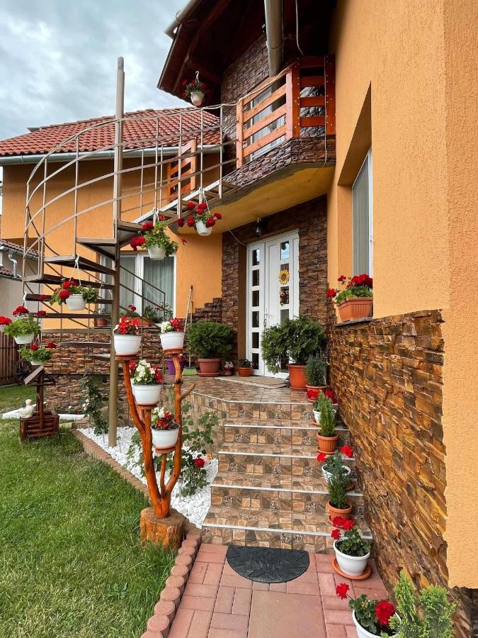 Casa De Oaspeti Cristian Praid Luaran gambar
