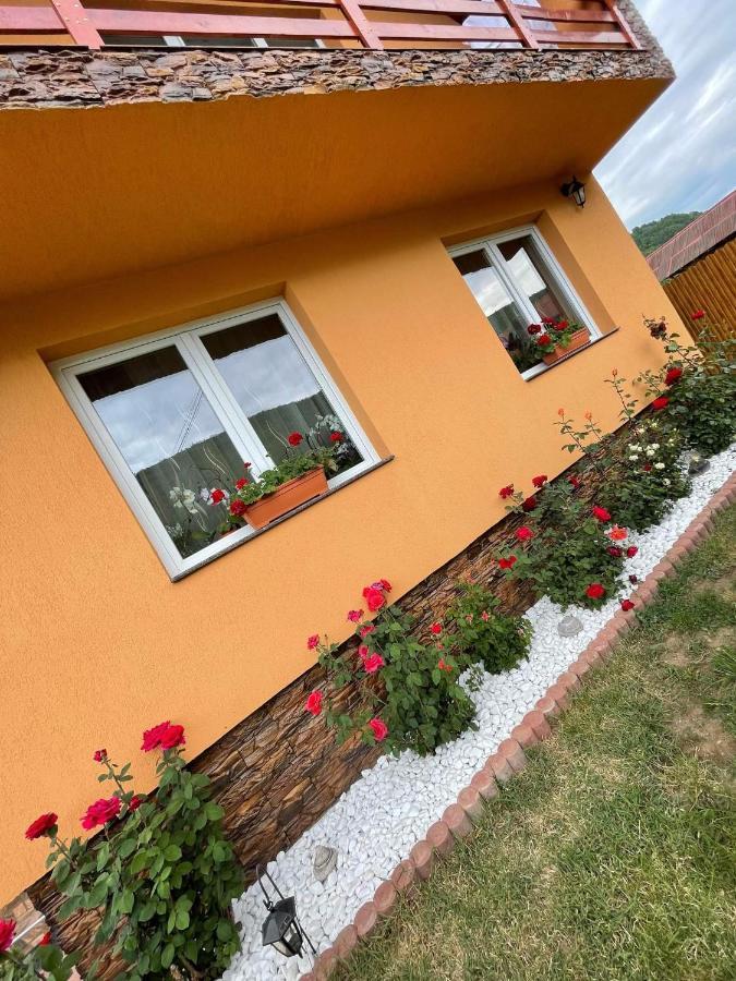 Casa De Oaspeti Cristian Praid Luaran gambar