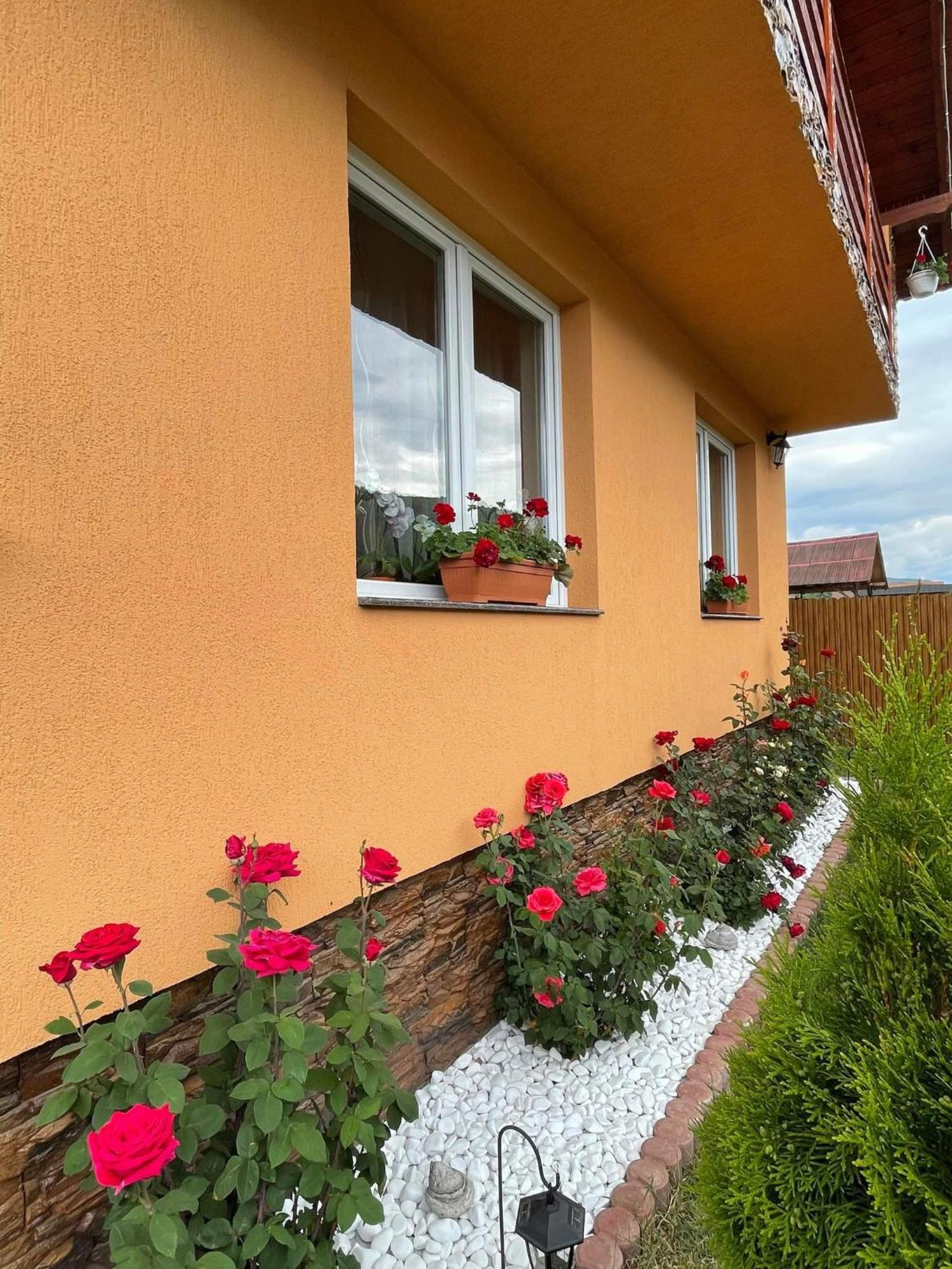Casa De Oaspeti Cristian Praid Bilik gambar
